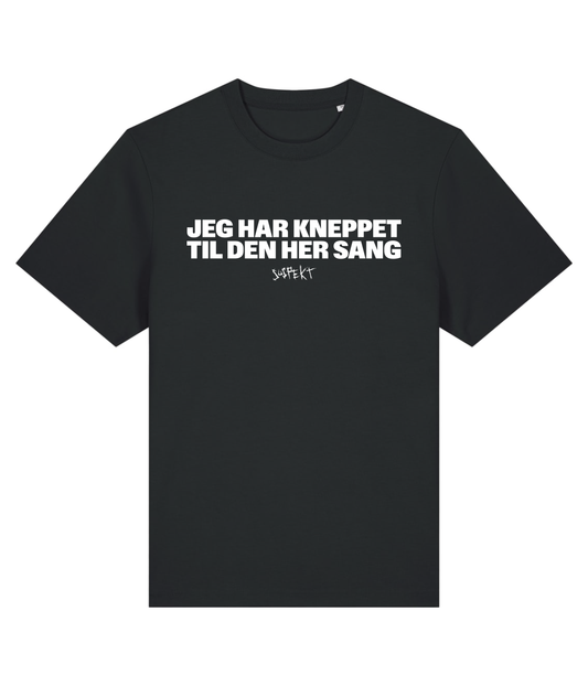Jeg har kneppet til den her sang, T-shirt